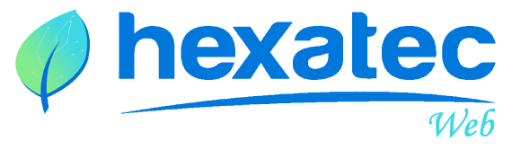 desarrollo web